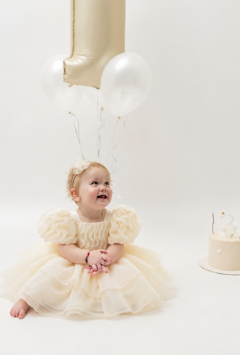 Daisy Ruffled Puff Sleeve Organza Dress (Beige)