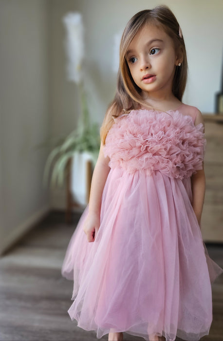 Ariella Pink & Blue 3D Floral Tulle Dress