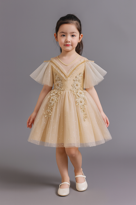 Sally Gold Embroidered Tulle Dress
