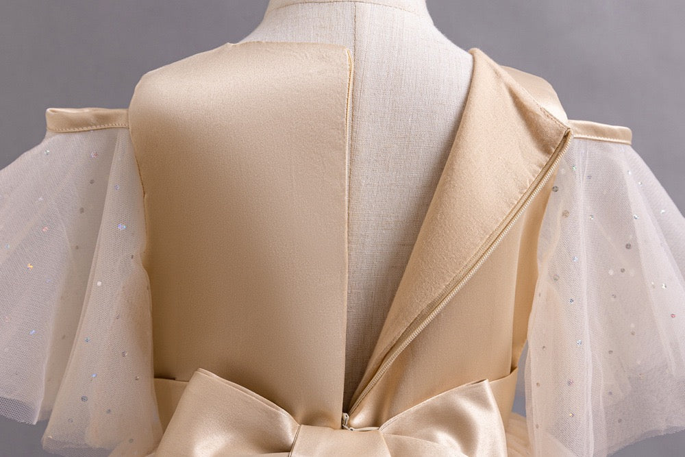 Sally Tulle Appliqué Dress – Gold Birthday Party