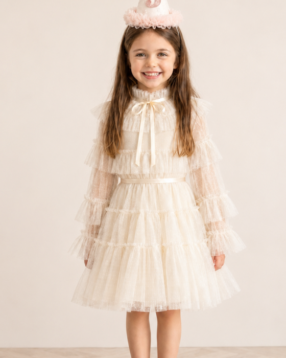 Amelie Long Sleeve Tulle Birthday Dress For Girls