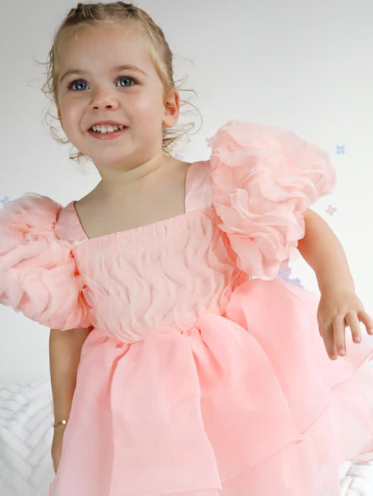 Daisy Ruffled Puff Sleeve Organza Dress