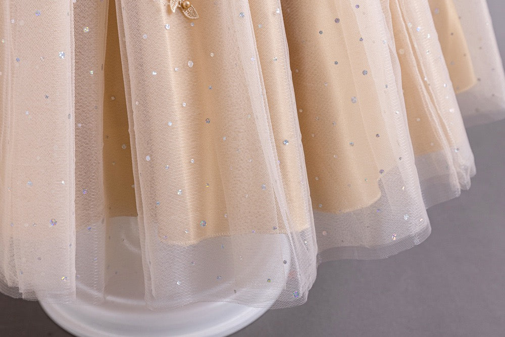 Sally Tulle Appliqué Dress – Gold Birthday Party