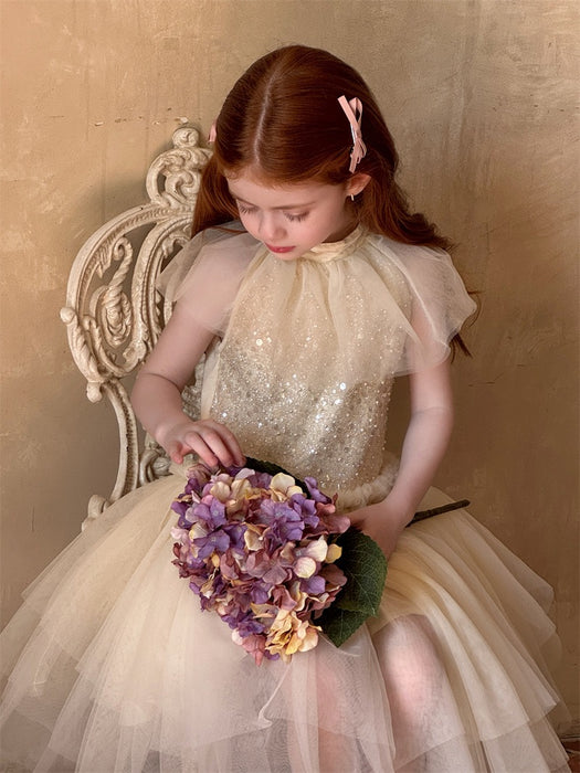Sierra Champagne Sequin Tulle Dress