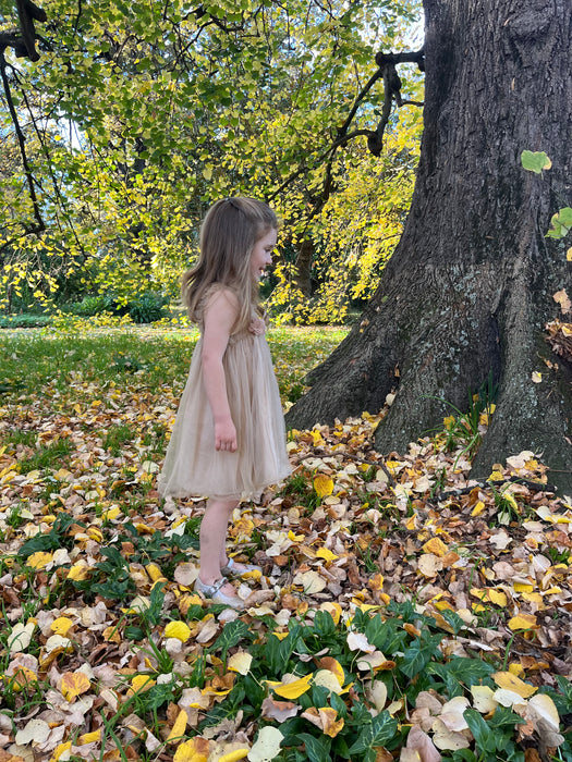 Cathy Flower Tulle Dress